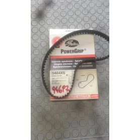 CINGHIA DISTRIBUZIONE HONDA CIVIC-ACCORD CASSA 168/A