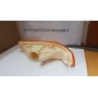 FANALE ANTERIORE FRECCIA DESTRA RENAULT SUPER 5 CASSA 184/A