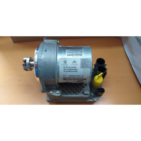 CENTRALINA SERVO STERZO CITY CITROEN - PEUGEOT 6700002236 CASSA 196/A