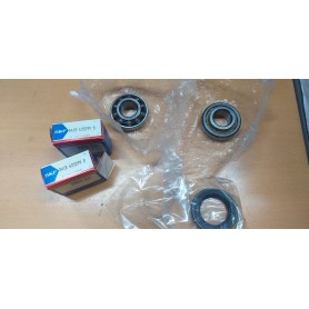 KIT SCUSCINETTI POSTERIORE AUSTIN ROVER MINI CASSA 197/A