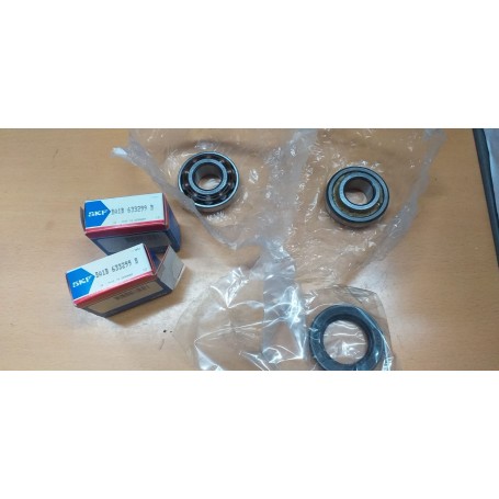 KIT SCUSCINETTI POSTERIORE AUSTIN ROVER MINI CASSA 197/A