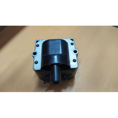 BOBINA ACCENSIONE VOLKSWAGEN POLO 