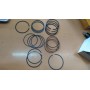 SERIE DI FASCE ELASTICHE HYUNDAI ATOS 1,0i 12V CASSA 200/A