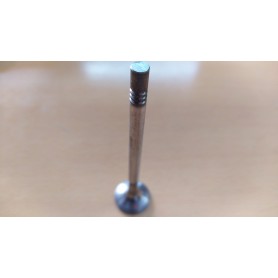 VALVOLA SCARICO FIAT PUNTO 1200 16V 46553049 CASSA 200/A