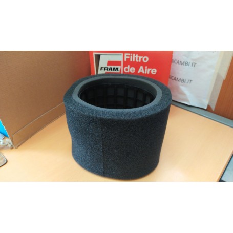 FILTRO ARIA FRAM CA4760 