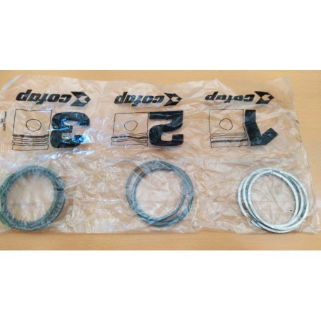 SERIE DI FASCE ELASTICHE FIAT 850 - 900 - PANDA - UNO - A112 - DIAMETRO 65 CASSA 183/A