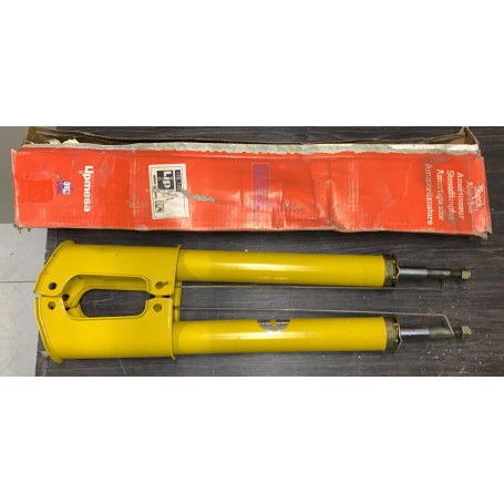 COPPIA AMMORTIZZATORI POSTERIORI RENAULT 25 DISP.LIP 178.105 SCAFF.AMM.PIAN 19