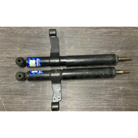 COPPIA AMMORTIZZATORI POSTERIORI FORD FIESTA DAL 1976 AL 1989 SCAFF.AMM.PIAN.20