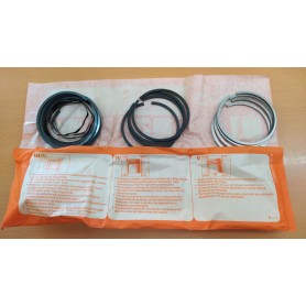 SERIE FASCE ELASTICHE PISTONI RENAULT 5 TL DIAMETRO 65,0 CASSA 176/A