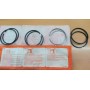 SERIE FASCE ELASTICHE SEGMENTI PISTONI FIAT 110 D - 500 D - F - L - GIARDINIERA DIAMETRO 67,4 CASSA 176/A