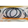 SERIE FASCE ELASTICHE SEGMENTI PISTONI ALFA ROMEO 1500 ALFASUD DIAMETRO 84,0 CASSA 176/A