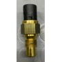 SENSORE TERMOCONTATTO SPIA REFRIGERANTE RENAULT TWINGO DAL 93-KANGOO DAL 97- SAFRANE DAL 92 AL 97 EPS 1.840.113 CASSA 258/A