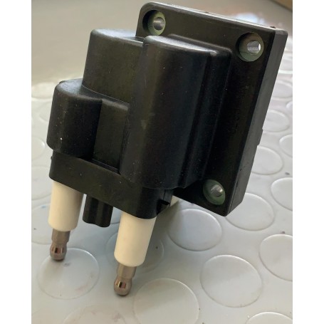 BOBINA ACCENSIONE RENAULT MEGANE-LAGUNA-SAFRANE-VOLVO V40-S40 DISP EPS 1.970.356 CASSA 262/A