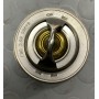 TERMOSTATO FORD MONDEO III -COUGAR-MAVERICK-MAZDA TRIBUTE DISP EPS 1.880.498 CASSA 265/A