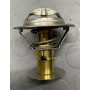 TERMOSTATO FORD MONDEO III -COUGAR-MAVERICK-MAZDA TRIBUTE DISP EPS 1.880.498 CASSA 265/A