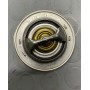 TERMOSTATO SEAT IBIZA II-CORDOBA-TOLEDO I -VW GOLF III DISP EPS 1.880.380 CASSA 265/A