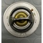 TERMOSTATO RENAULT CLIO-GRAND SCENIC-SCNIC-MEGANE-NISSAN MICRA-QASHQAI DISP EPS 1.880.713 CASSA 265/A