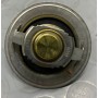 TERMOSTATO RENAULT CLIO-GRAND SCENIC-SCNIC-MEGANE-NISSAN MICRA-QASHQAI DISP EPS 1.880.713 CASSA 265/A
