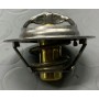 TERMOSTATO RENAULT CLIO-GRAND SCENIC-SCNIC-MEGANE-NISSAN MICRA-QASHQAI DISP EPS 1.880.713 CASSA 265/A