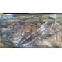SERIE GUARNIZIONI MOTORE ALFA ROMEO 1750 - 2000 GTV Berlina 68-78 CASSA 90/A