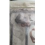 SERIE GUARNIZIONI SMERIGLIO GIULIA 1600 U.T. SENZA GUARNIZIONE TESTA CASSA 255/A