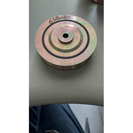 PULEGGIA ALBERO MOTORE RENAULT CLIO II - MEGANE - SCENIC - KANGOO - DISP.CORTECO 80000599