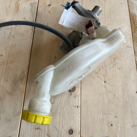 POMPA SERVOFRENO CITROEN-PEUGEOT DAL 2009/2010 IN POI