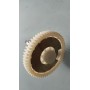 RUOTA DENTATA PER MOTORINO TERGI TERGICRISTALLO SEV MARCHAL 5231190 ORIGINALE CASSA 133/A