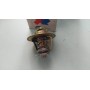 VALVOLA TERMOSTATICA AUDI - VOLKSWAGEN - PORSCHE - DISPONIBILE BHER THOMSON 1.129.80 CASSA 196/A