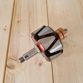 (A) ROTORE ALTERNATORE GOLF DIESEL