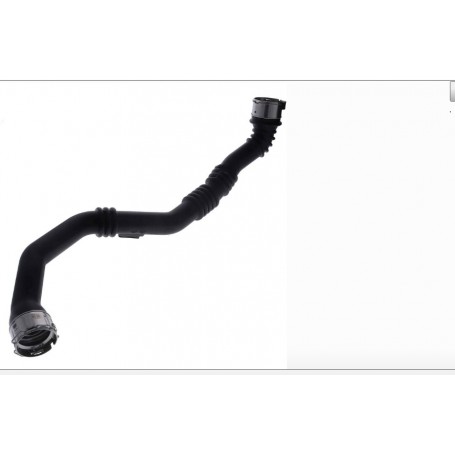55932 BIRTH Flessibile aria alimentazione per DACIA,RENAULT