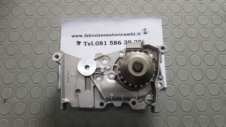 POMPA ACQUA RENAULT - DACIA