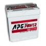 XPJ203LP - BATTERIA APG MODELLO ASIATICO CON POLI PICCOLI POSITIVO A SX