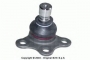 5202XS - CINGHIA DISTRIBUZIONE TOYOTA RV4 CASSA 77/A DISPONIBILE GATES 1 PZ