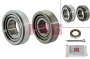713625120 - VKBA3796 KIT CUSCINETTO RUOTA POSTERIORE DAEWOO CHEVROLET MATIZ (FAG)