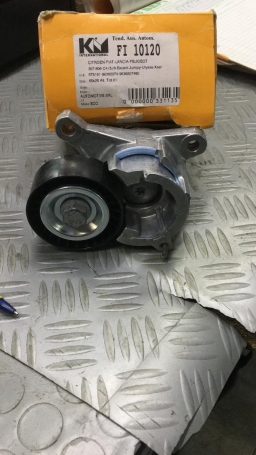 CUSCINETTO TENDICINGHIA AUSILIARE CITROEN DISPONIBILE KM