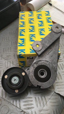 CUSCINETTO TENDICINGHIA AUSILIARE RENAULT VOLVO DISPONIBILE KM