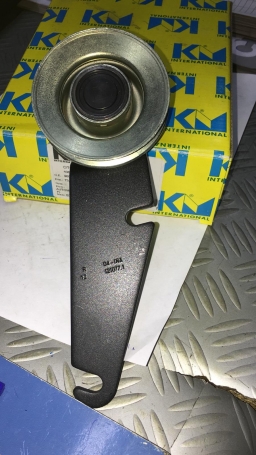 CUSCINETTO TENDICINGHIA AUSILIARE CITROEN DISPONIBILE KM