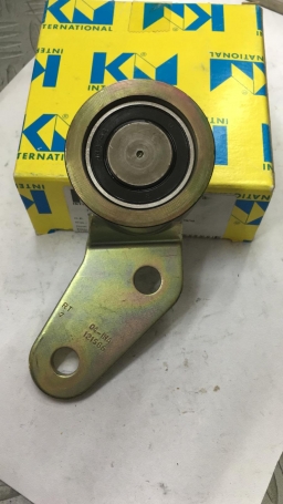 CUSCINETTO TENDICINGHIA AUSILIARE RENAULT DISPONIBILE KM