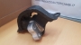 SUPPORTO MOTORE OPEL ASTRA F - VECTRA A - CASSA 153/A