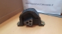 SUPPORTO MOTORE OPEL CORSA A - B - TIGRA - CASSA 153/A
