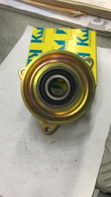 CUSCINETTO TENDICINGHIA AUSILIARE RENAULT DISPONIBILE KM