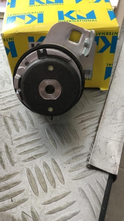 CUSCINETTO TENDICINGHIA DISTRIBUZIONE RENAULT DISPONIBILE KM