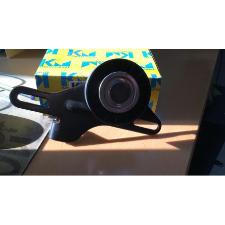 CUSCINETTO TENDICINGHIA AUSILIARE RENAULT DISPONIBILE KM 