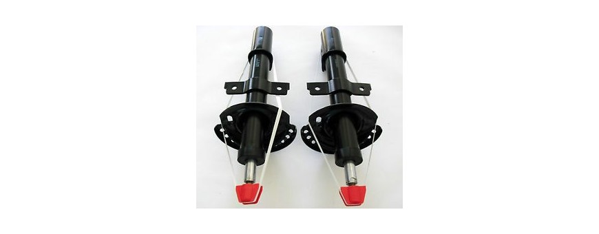 Ammortizzatore anteriore dx e sx