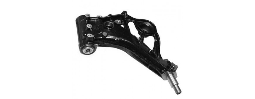 Braccio sospensione posteriore dx e sx