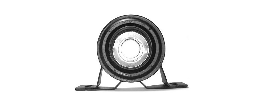 Supporto trasmissione