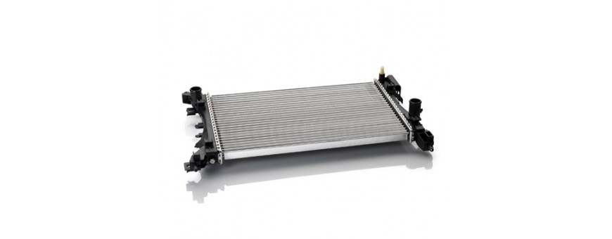 Radiatore motore