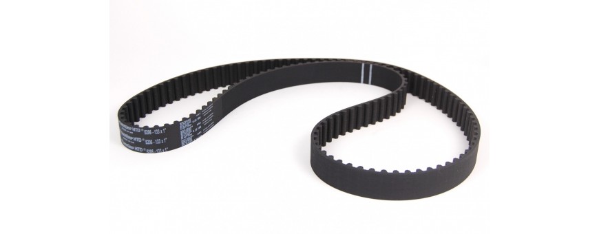 Cinghia distribuzione