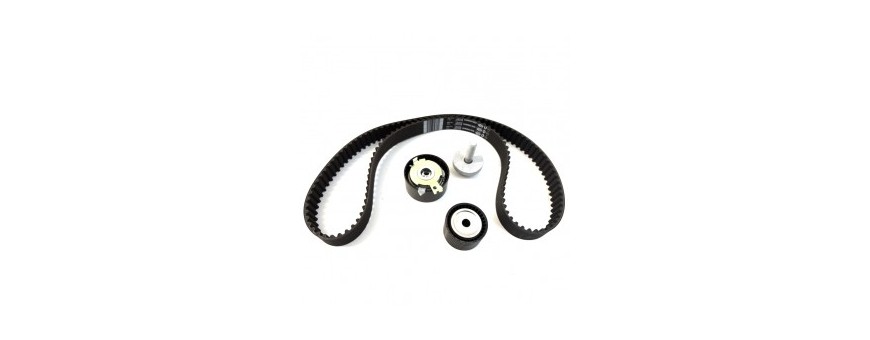 Kit cinghia distribuzione